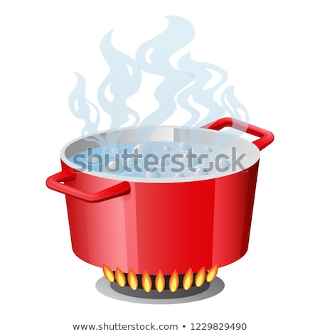Foto d'archivio: Red Pan Saucepan Pot Casserole Cooker Stewpan With Boiling Water And Opened Pan Lid Vector Isol