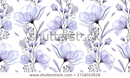 Stock photo: Abstract Modern Botanical Design