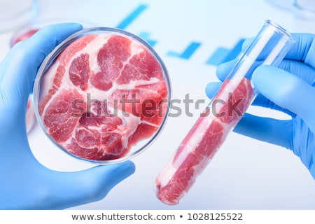 Stockfoto: Researcher Inspecting Meat Sample In Laboratory