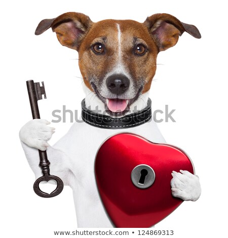 Stockfoto: Valentine Dog Unlock My Heart