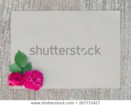 Stock photo: Rosa Damascena Paper