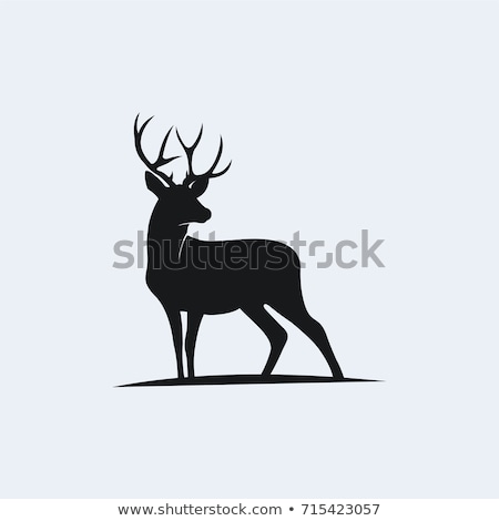 Stock photo: Deer