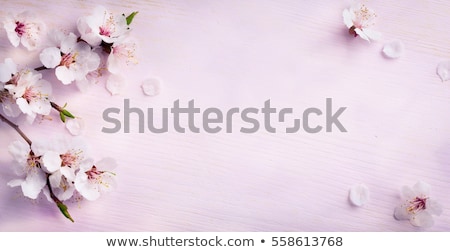 Stock foto: Floral Background