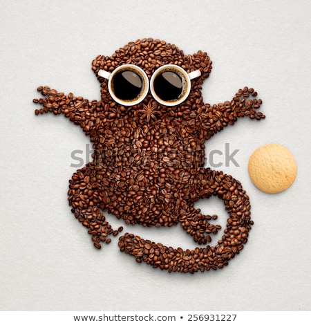 Stock fotó: Tarsier With Cookie