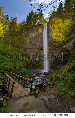 Imagine de stoc: Hiking Trail Along Columbia River