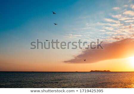 Stock fotó: Sunset Over The Rio De La Plata