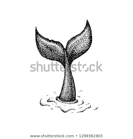 Stock photo: Dotwork Whale Tail