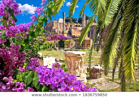 Stockfoto: Historic Roman Forum In Rome Scenic Springtime View