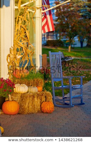 Stok fotoğraf: Harvested Crop In Stowe Vermont