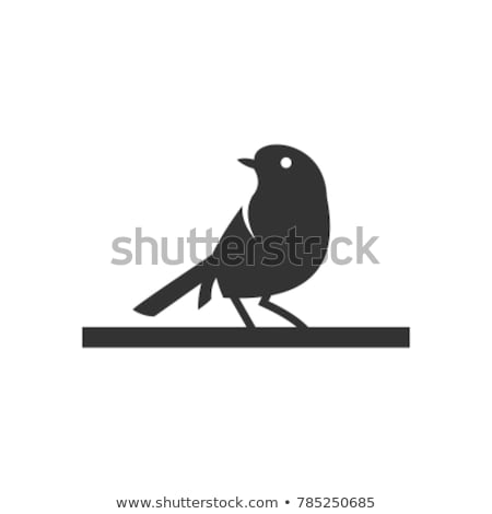 Foto stock: Birds Silhouettes Vector Symbols Black Color