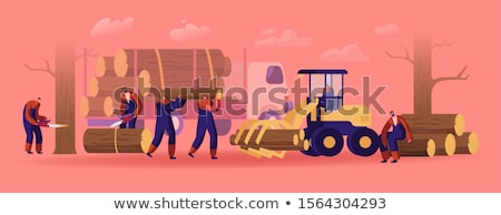 Zdjęcia stock: The Lumberjack Cuts The Timber By The Chainsaw