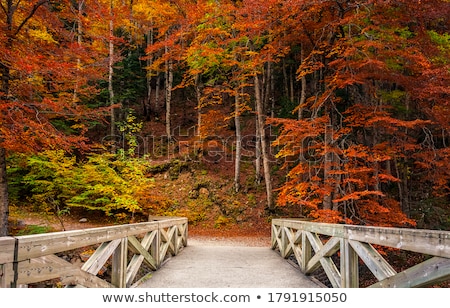 Stock photo: Wooden Bridge In Autumn