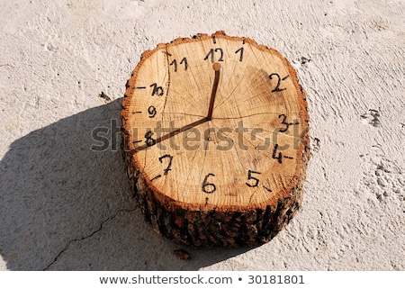 ストックフォト: い手作りの木製おもちゃの時計の文字盤