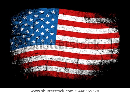 Foto d'archivio: Usa Flag Grunge Texture Background