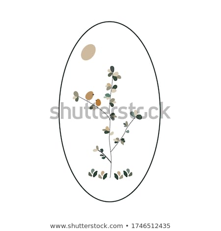 Stockfoto: Birthday Card With Heart Tree Rings Vector