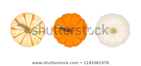 Zdjęcia stock: Small Striped Pumpkins