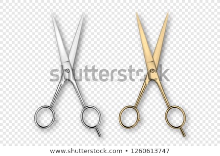 Stok fotoğraf: Realistic Scissors Set