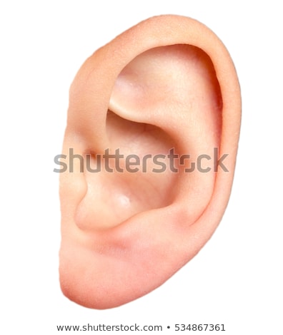 Zdjęcia stock: A Human Ear On White Background