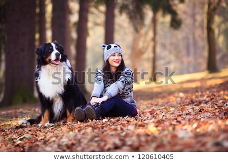 Stok fotoğraf: Couple With Her Dog In Autumn Park Bernese Mountain Dog