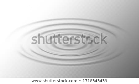 Zdjęcia stock: Ripple Water Surface From Drop Side View Vector