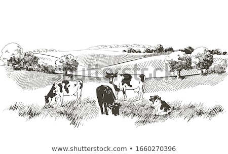 Foto stock: On The Pasture