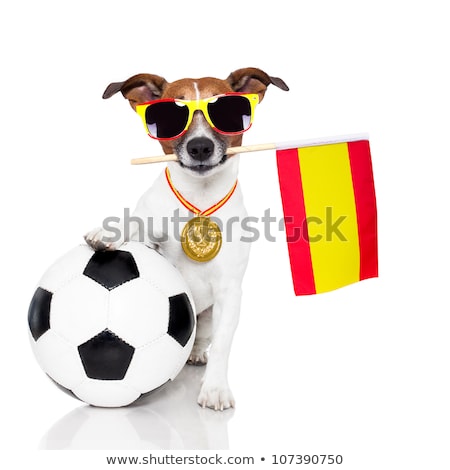 Stok fotoğraf: Dog As Soccer With Spanish Flag