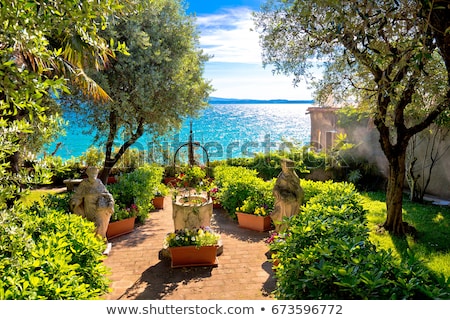 Mediterranean Park Stockfoto © xbrchx