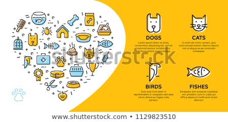 Zdjęcia stock: Animals Pets Vector Flat Colorful Icons Set