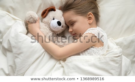 Stock photo: Cozy Dog In Bed With Teddy Bear