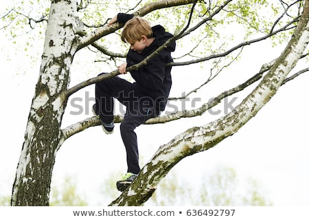 Zdjęcia stock: Boy Climbing Tree Branches