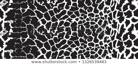 Imagine de stoc: Giraffe Skin Pattern Design Background