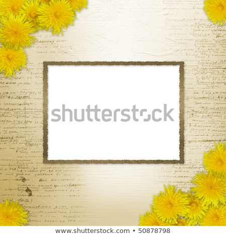 Stok fotoğraf: Writing Abstract Background With Bunch Of Dandelions