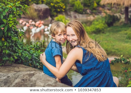 ストックフォト: Mom And Son Are Looking At The Flock Of Birds Of Pink Flamingos On A Pond