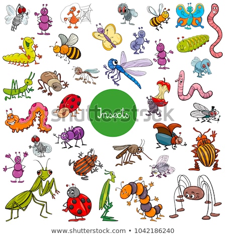 Zdjęcia stock: Vector Cartoon Insect Clip Art