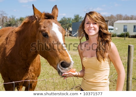 Сток-фото: Beautiful Teen Girl On The Farm With Her Horse