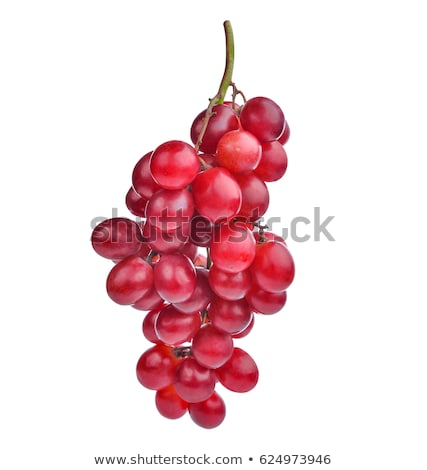 ストックフォト: Harvest Or Crop Grape Bunch Or Berry Cluster
