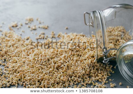 Сток-фото: Vegan Food Concept Buckwheat Sprouts For Dieting Or Vegetarians Groats Spilled From Glass Jar Raw