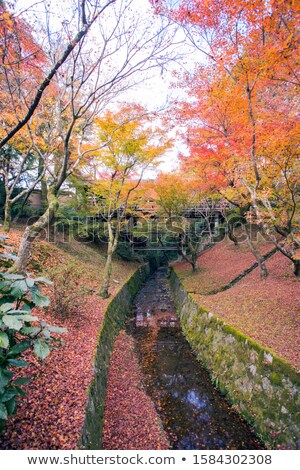 Stockfoto: Mostly Yellow Carpet Of Autumn Leaves