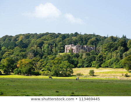 Stock photo: Meadows And Cows In Lake District England