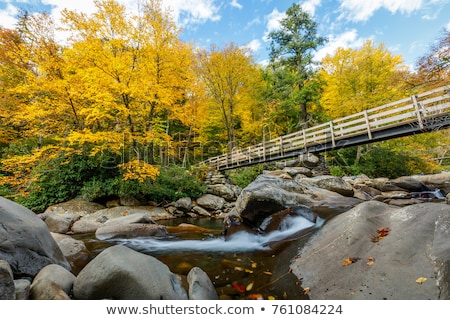 ストックフォト: Old Chimney At Smoky Mountains National Park