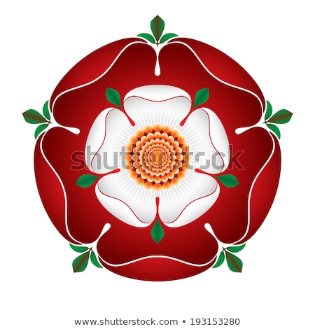 Tudor Dynasty Rose Stock foto © WawroDesign