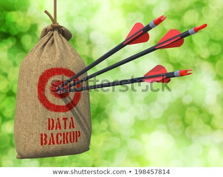 Stock foto: Data Backup Concept - Hit Target
