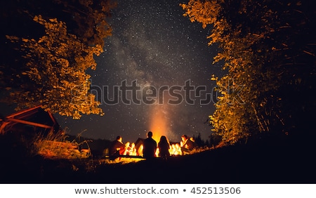 Stock photo: Night Landscape With Bonfire