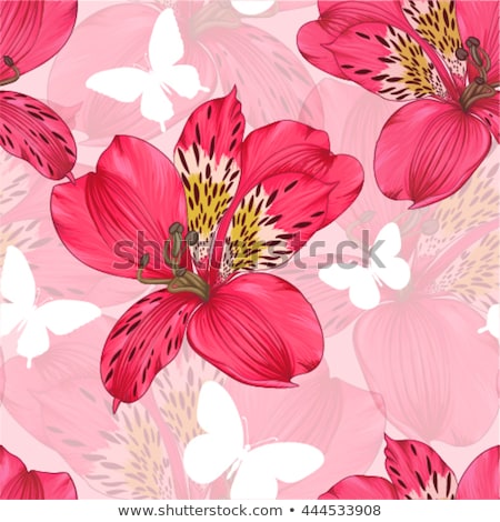 Foto stock: Tiger Lily Flower Outline