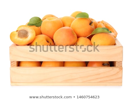 [[stock_photo]]: Fresh Ripe Apricots