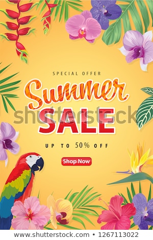 Stockfoto: Tropical Summer Sale Banner With Parrot
