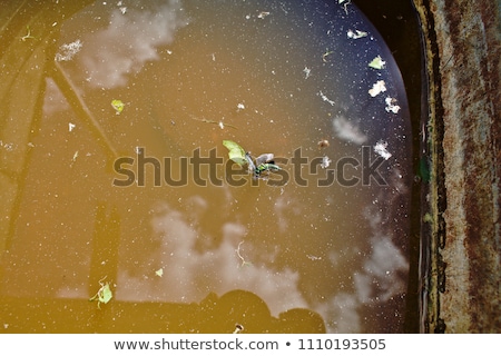 Stockfoto: Dirty Tank Detail