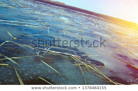 Thin Ice On The Lake Foto stock © Fanfo