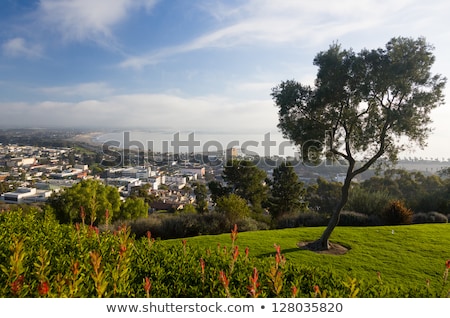 Stock fotó: Panorama Of Ventura From Grant Park