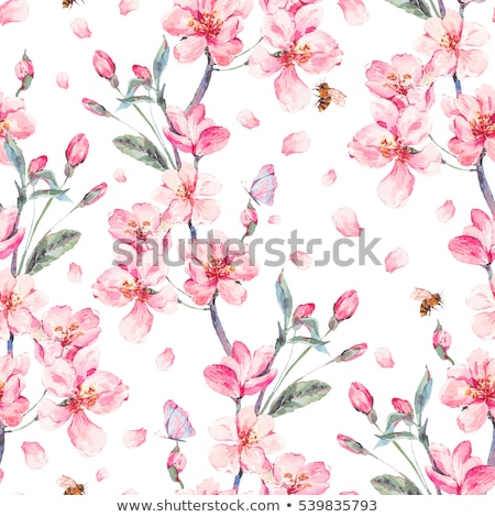 Stockfoto: Vintage Label With Sakura Flower